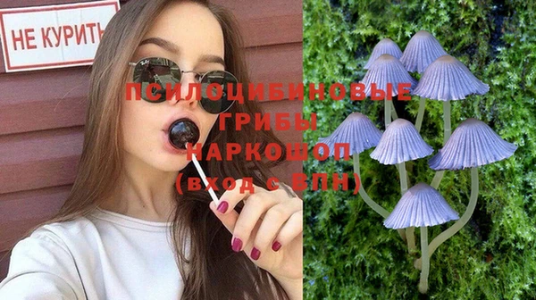 гашик Верхнеуральск