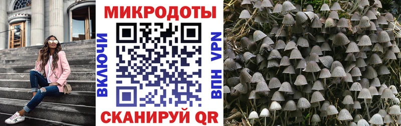 цены   Дзержинский  Псилоцибиновые грибы Psilocybe 